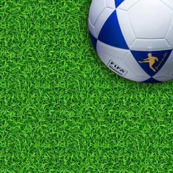 Evo Soccer – Evolution Parks